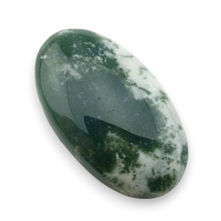 Agat drzewny kaboszon 27x15 mm nr 30