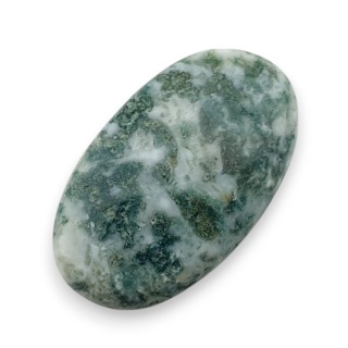 Agat drzewny kaboszon 27x16 mm nr 36