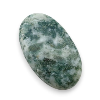 Agat drzewny kaboszon 27x16 mm nr 36