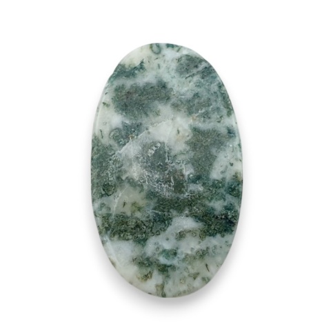 Agat drzewny kaboszon 27x16 mm nr 36 Agat drzewny kaboszon 27x16 mm nr 36