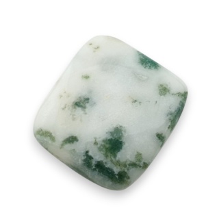 Agat drzewny kaboszon 27x25 mm nr 28