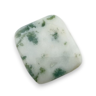 Agat drzewny kaboszon 27x25 mm nr 28