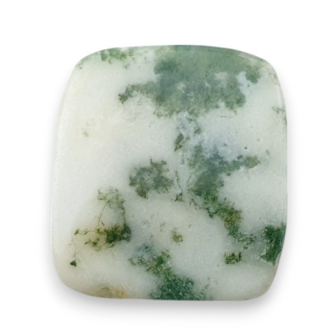 Tree agate cabochon 27x25 mm no 28 Tree agate cabochon 27x25 mm no 28