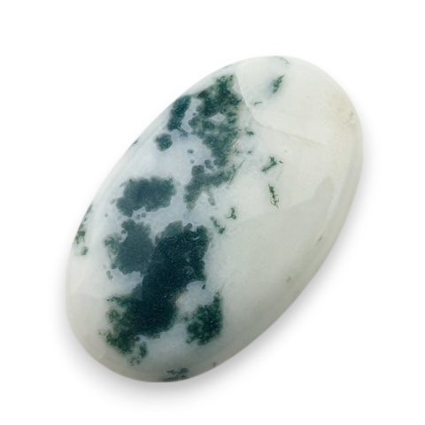Tree agate cabochon 28x17 mm no 60 Tree agate cabochon 28x17 mm no 60