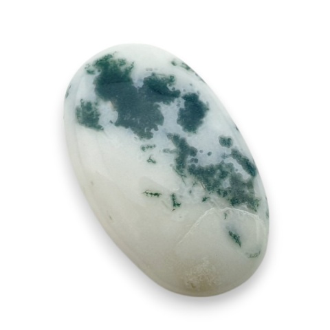 Tree agate cabochon 28x17 mm no 60 Tree agate cabochon 28x17 mm no 60
