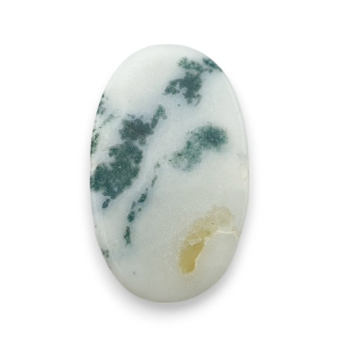 Tree agate cabochon 28x17 mm no 60 Tree agate cabochon 28x17 mm no 60