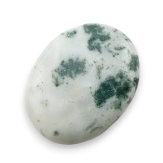 Agat drzewny kaboszon 28x22 mm nr 65