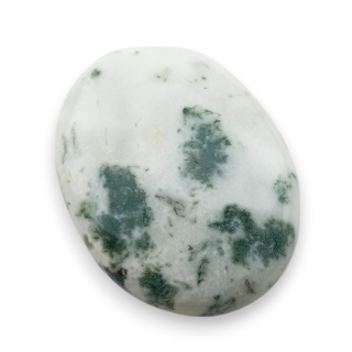 Agat drzewny kaboszon 28x22 mm nr 65