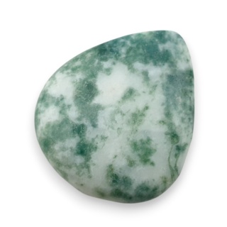 Agat drzewny kaboszon 28x23 mm nr 53