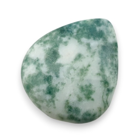 Tree agate cabochon 28x23 mm no 53 Tree agate cabochon 28x23 mm no 53