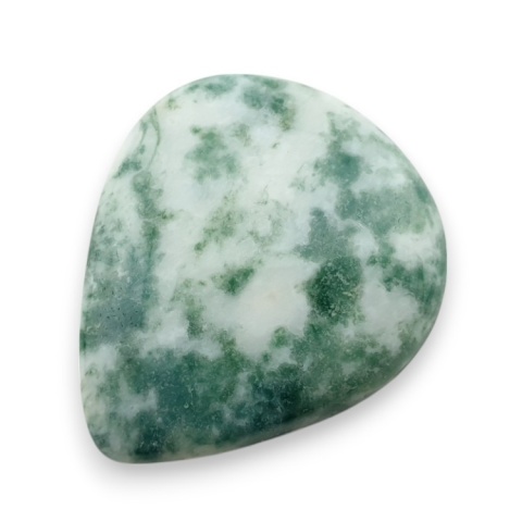 Tree agate cabochon 28x23 mm no 53 Tree agate cabochon 28x23 mm no 53