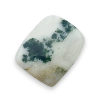 Agat drzewny kaboszon 28x23 mm nr 58