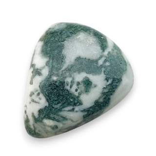 Agat drzewny kaboszon 28x24 mm nr 51