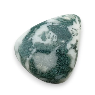 Agat drzewny kaboszon 28x24 mm nr 51