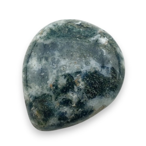 Tree agate cabochon 28x24 mm no 52 Tree agate cabochon 28x24 mm no 52