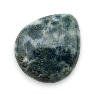 Agat drzewny kaboszon 28x24 mm nr 52