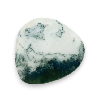 Agat drzewny kaboszon 28x28 mm nr 29