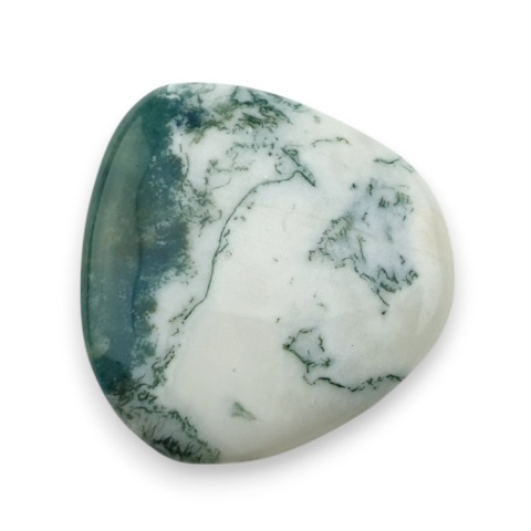 Agat drzewny kaboszon 28x28 mm nr 29 Agat drzewny kaboszon 28x28 mm nr 29