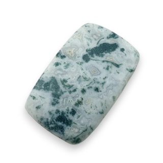 Agat drzewny kaboszon 29x18 mm nr 62