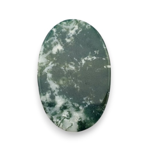 Tree agate cabochon 29x19 mm no 32 Tree agate cabochon 29x19 mm no 32