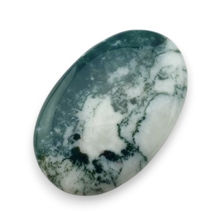 Agat drzewny kaboszon 29x19 mm nr 40