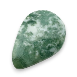 Agat drzewny kaboszon 29x20 mm nr 31