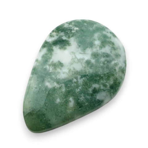 Tree agate cabochon 29x20 mm no 31 Tree agate cabochon 29x20 mm no 31