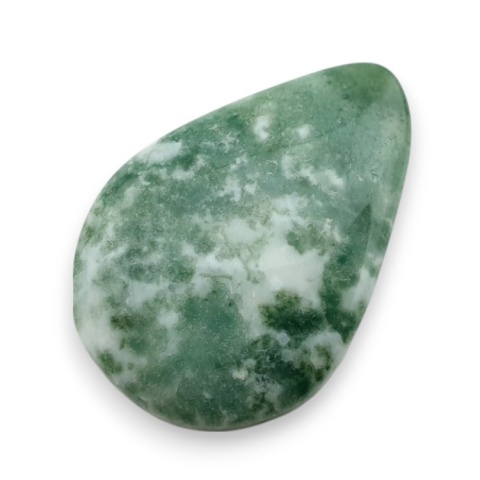 Tree agate cabochon 29x20 mm no 31 Tree agate cabochon 29x20 mm no 31