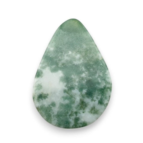 Tree agate cabochon 29x20 mm no 31 Tree agate cabochon 29x20 mm no 31
