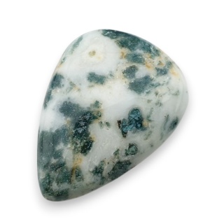 Agat drzewny kaboszon 29x21 mm nr 43