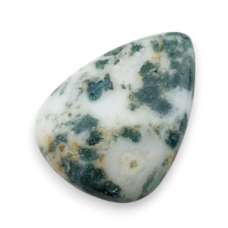 Agat drzewny kaboszon 29x21 mm nr 43