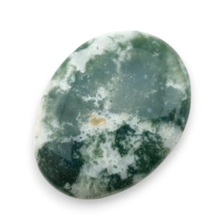Agat drzewny kaboszon 29x22 mm nr 42