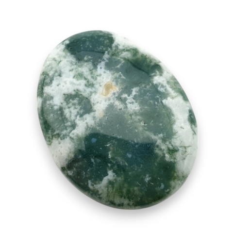 Agat drzewny kaboszon 29x22 mm nr 42