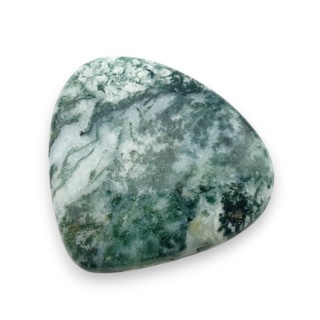 Agat drzewny kaboszon 29x27 mm nr 41