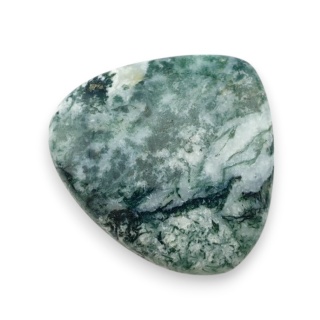 Agat drzewny kaboszon 29x27 mm nr 41
