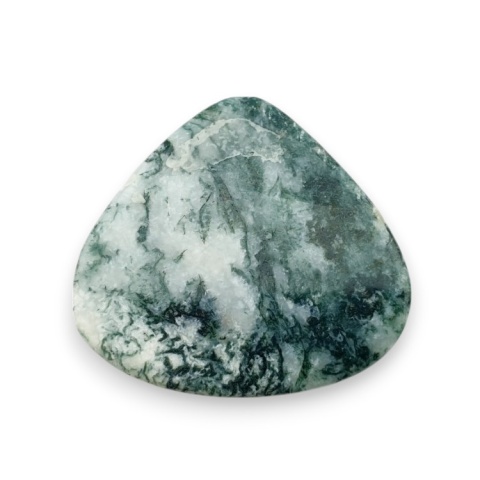 Tree agate cabochon 29x27 mm no 41 Tree agate cabochon 29x27 mm no 41