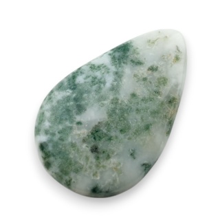Agat drzewny kaboszon 30x19 mm nr 64