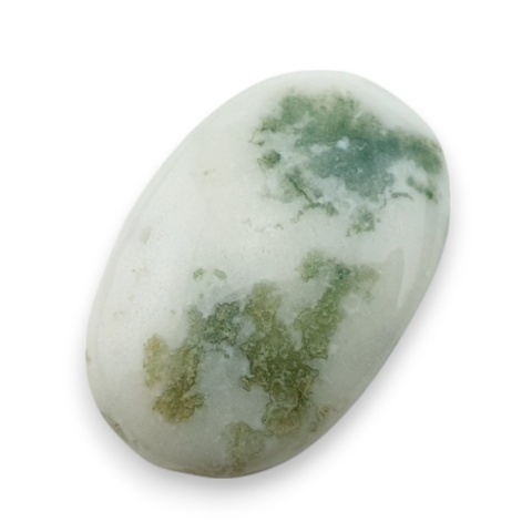 Tree agate cabochon 30x20 mm no 46 Tree agate cabochon 30x20 mm no 46