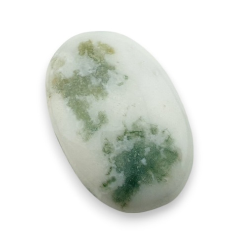Tree agate cabochon 30x20 mm no 46 Tree agate cabochon 30x20 mm no 46
