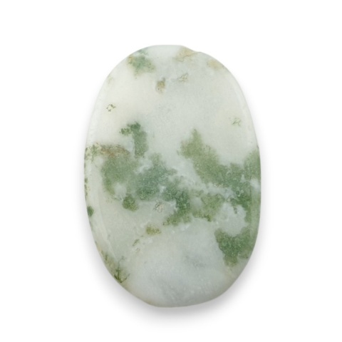 Tree agate cabochon 30x20 mm no 46 Tree agate cabochon 30x20 mm no 46