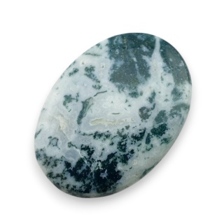 Agat drzewny kaboszon 30x21 mm nr 72