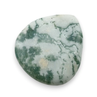 Agat drzewny kaboszon 30x27 mm nr 80