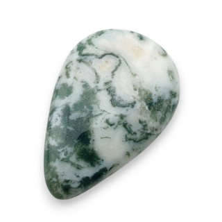 Agat drzewny kaboszon 31x21 mm nr 48