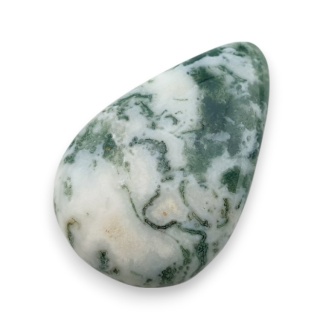 Agat drzewny kaboszon 31x21 mm nr 48