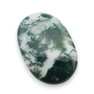 Agat drzewny kaboszon 31x21 mm nr 59