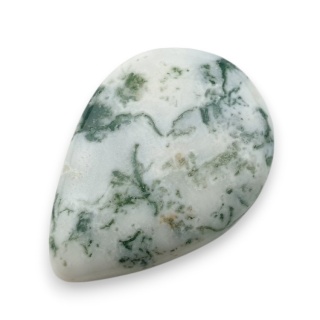Agat drzewny kaboszon 31x22 mm nr 37