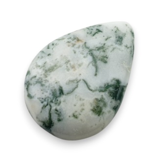 Agat drzewny kaboszon 31x22 mm nr 37