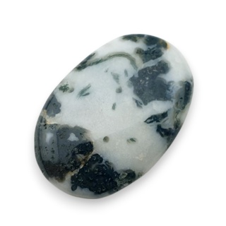 Agat drzewny kaboszon 32x21 mm nr 50
