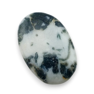 Agat drzewny kaboszon 32x21 mm nr 50