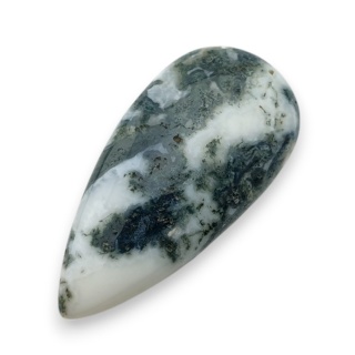Agat drzewny kaboszon 34x17 mm nr 61